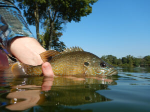 Read more about the article A beginner’s guide to ice fishing-2024