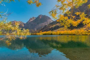 Read more about the article What types of fish are in Silver Lake?