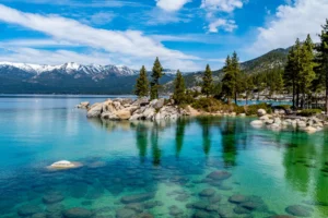 Read more about the article What type of fish are in Lake Tahoe?