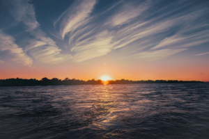 Read more about the article What types of Fish are in Lake Erie?