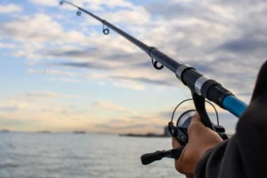 Read more about the article How to cast a fishing rod