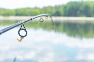 Read more about the article Daiwa Tatula fishing rod and reel models Review
